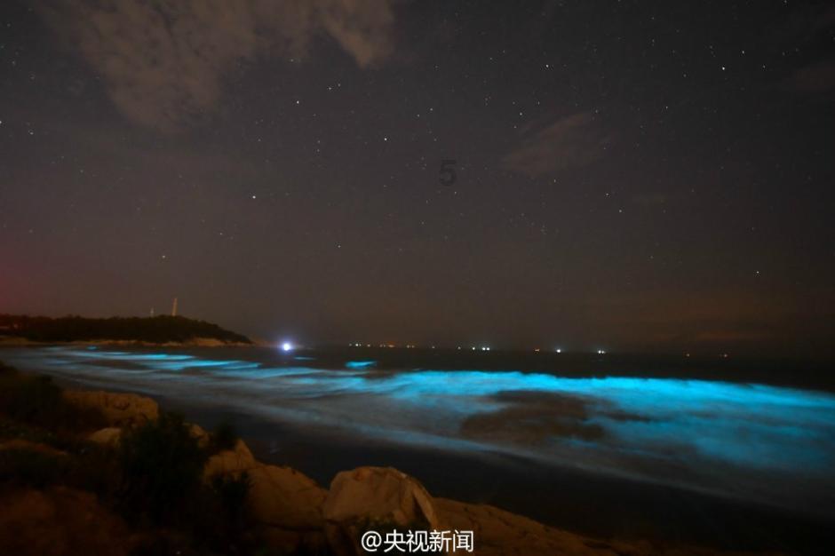 山东省政协港区政协委员:应坚持与粤港澳大湾区“双向奔赴”